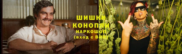 2c-b Фёдоровский