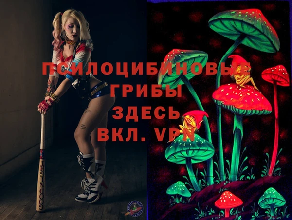 гидропоника Калининец