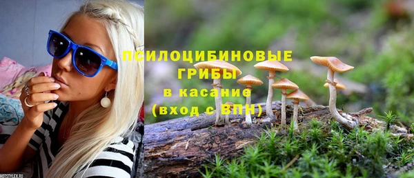 соль курить ск Нестеровская