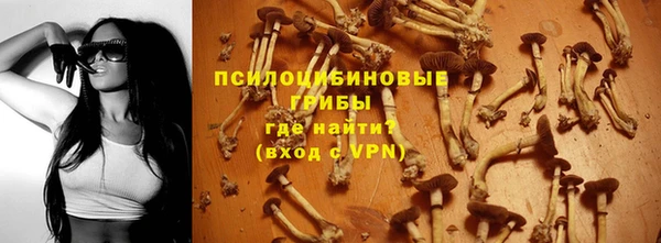 2c-b Фёдоровский