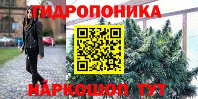 мяу мяу мука Бийск