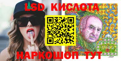 крисы Гатчина