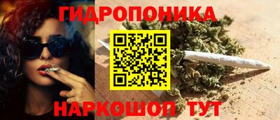 крисы Гатчина