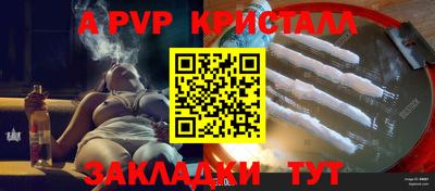 крисы Гатчина