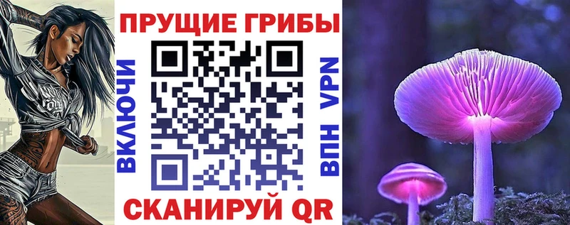 сколько стоит  Ульяновск  Псилоцибиновые грибы прущие грибы 