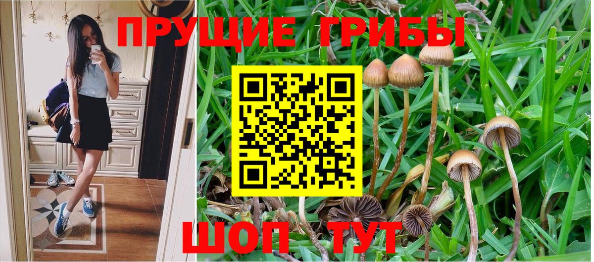 Псилоцибиновые грибы Magic Shrooms Россия